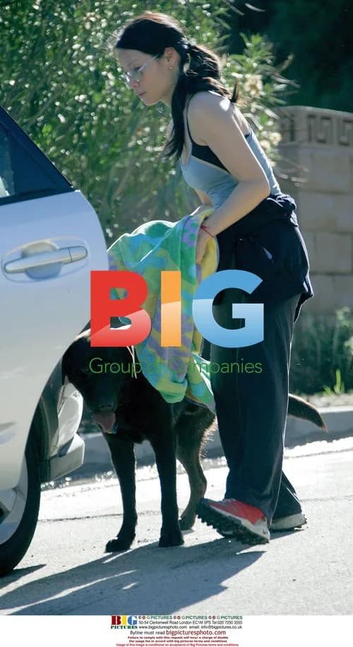 Lucy Liu walking dog in Hollywood