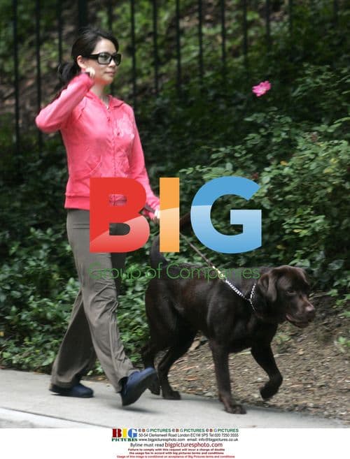Actress Lucy Liu walks dog in North-Hollywood