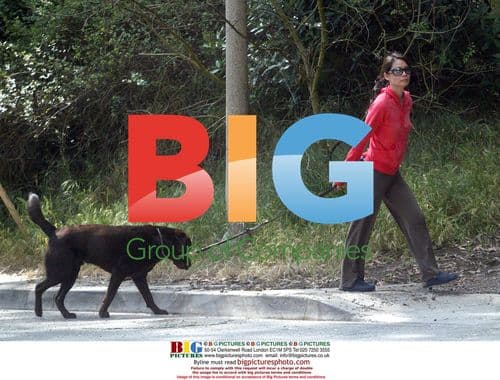 Lucy Liu Walking Dog in North Hollywood