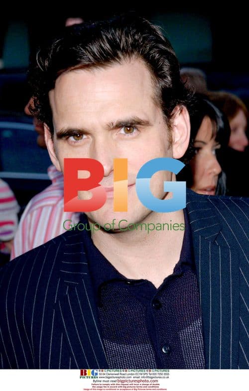 Matt Dillon at 'Crash' Premiere
