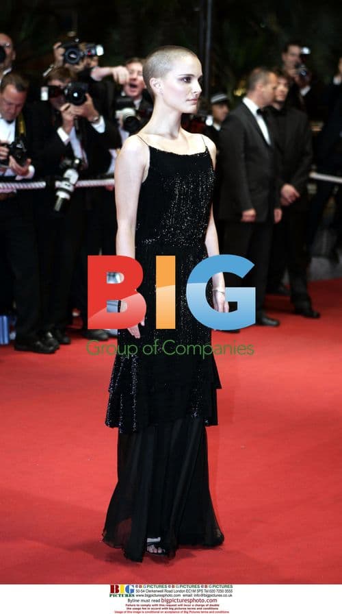 Natalie Portman at 'Kiss Kiss Bang Bang' Premiere