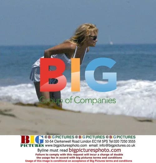Pamela Anderson hits the beach in Malibu