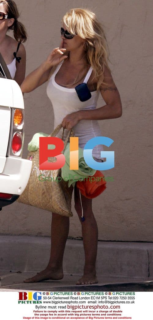 Pamela Anderson on Malibu Beach