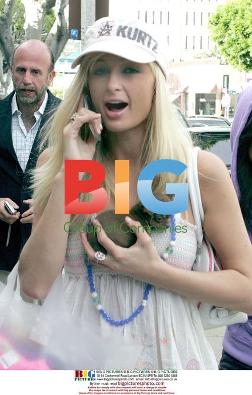 Paris Hilton Shops with Puppy in Beverly Hills