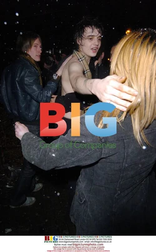 Pete Doherty leaves Babyshambles gig topless