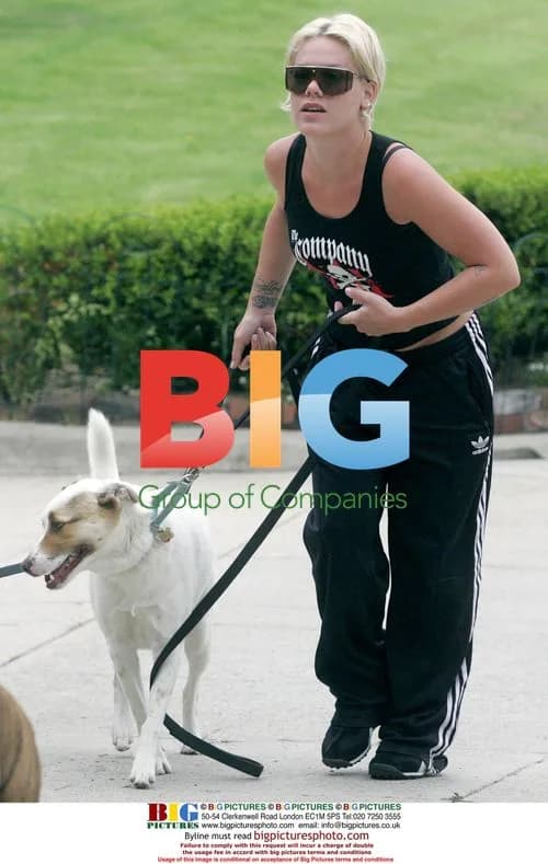 Singer Pink takes dogs to park in Hollywood Hills