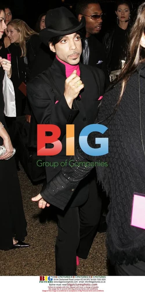Prince at the 31st Annual People's Choice Awards
