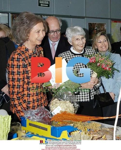 Queen Sofia of Spain visits Foundation