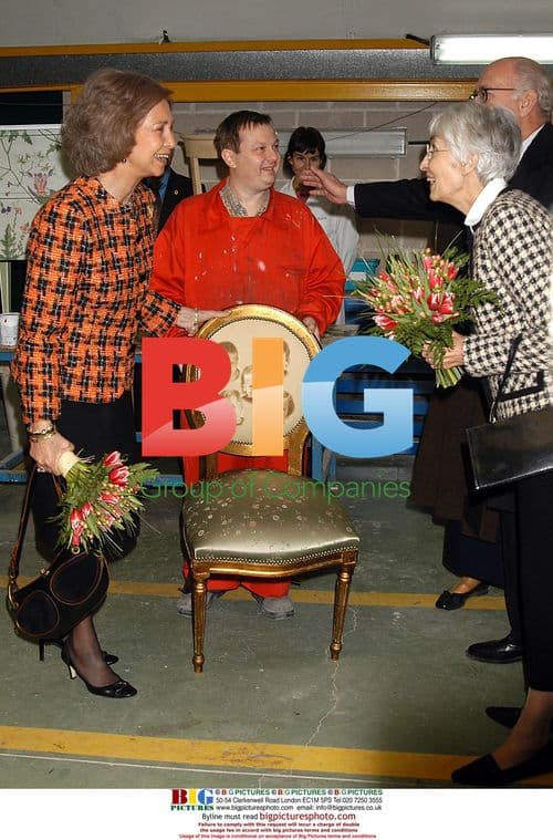 Queen Sofia of Spain visits Madrid foundation