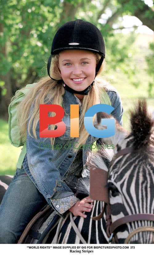 Racing Stripes Animated Comedy