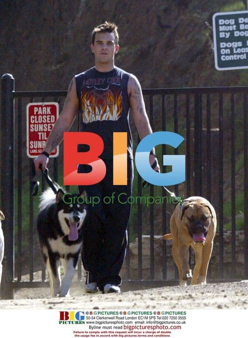 Robbie Williams takes dogs for a stroll