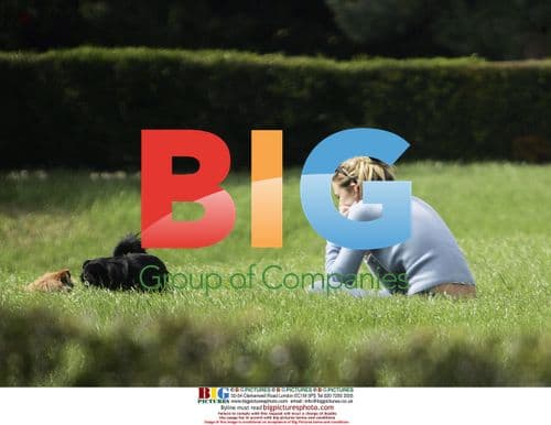 Sienna Miller Walking Dogs in Louisiana