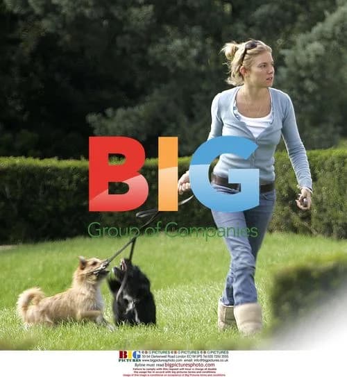 Sienna Miller Walks Dogs in Louisiana