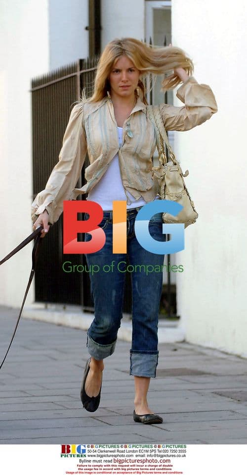 Sienna Miller walks dogs in Chelsea