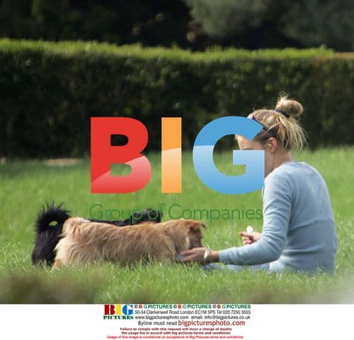 Sienna Miller walks dogs in Louisiana