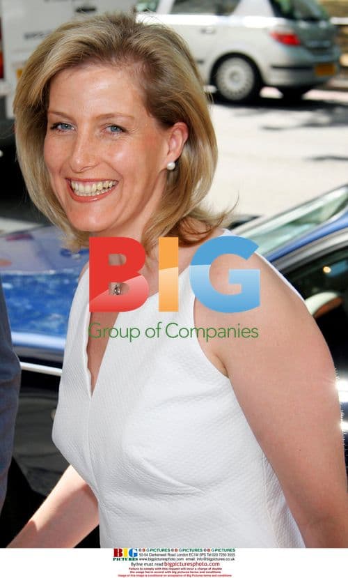 HRH Sophie Wessex arrives at charity function