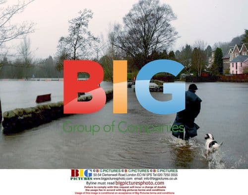 Woman and dog wading through flooded park