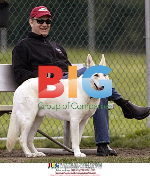 Tom Hanks at Brentwood Dog Park