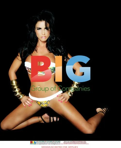 Katie Price Poses in Bikini