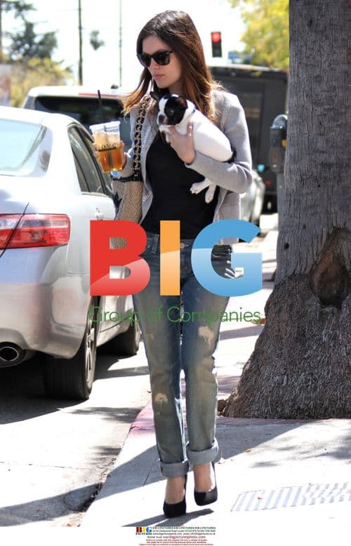 Rachel Bilson Carrying Chanel Bag, Puppy