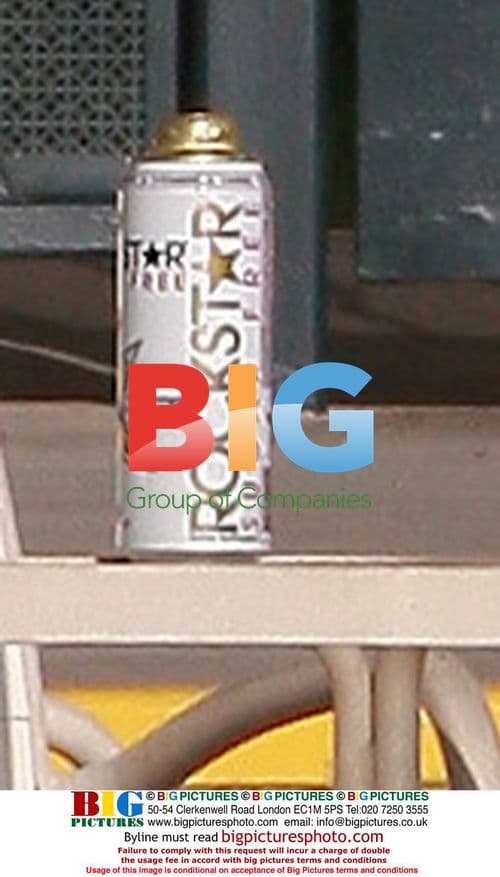 Melissa Smith, Jesse James' Alleged Mistress at Hotel