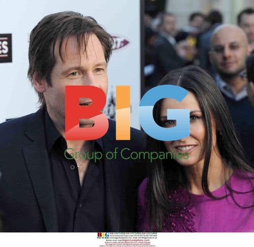 David Duchovny and Demi Moore at 'The Joneses' Premiere