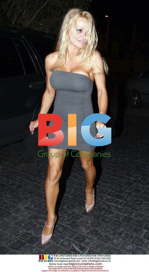 Pamela Anderson Leaves Plaza Towers
