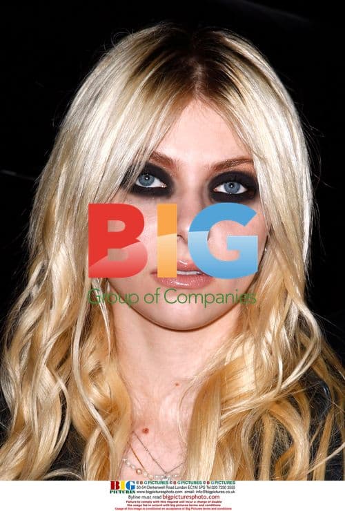 Taylor Momsen at Warped Tour 2010 Press Conference