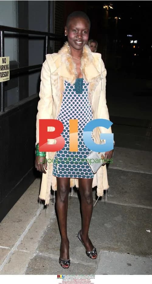 Alek Wek Outside Tribeca Ball