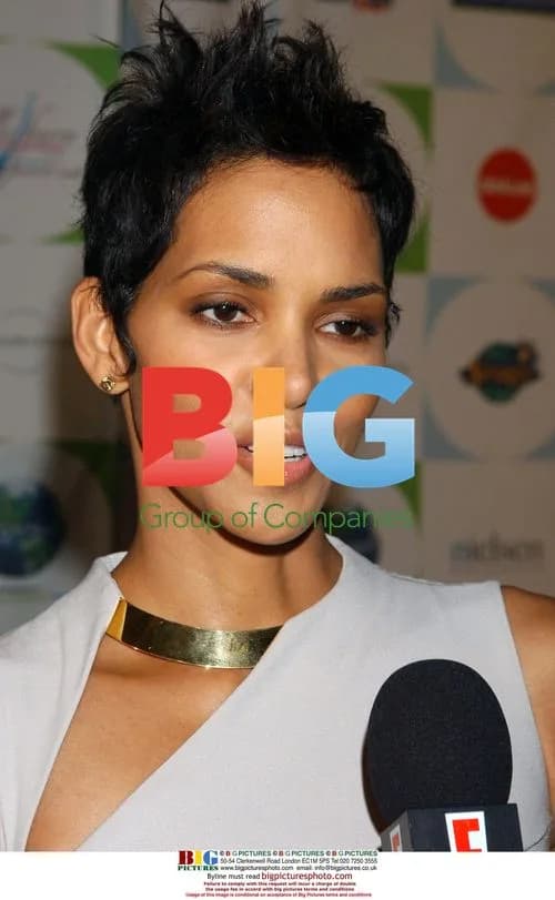 Halle Berry at Silver Rose Gala