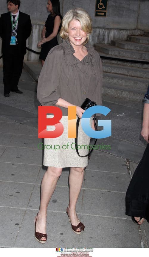 Martha Stewart at Vanity Fair Tribeca Party