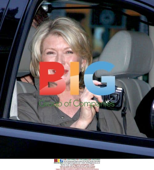 Martha Stewart at Vanity Fair Party