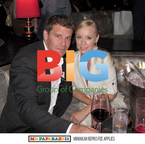 David Boreanaz and Jaime Bergman at US Weekly Hot Hollywood Style Party