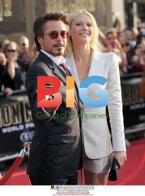 Iron Man 2 Premiere in Hollywood