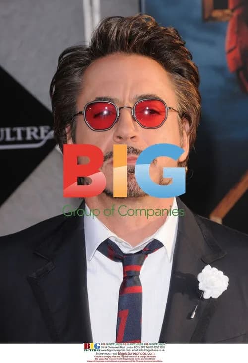 Robert Downey Jr. at Iron Man 2 Premiere