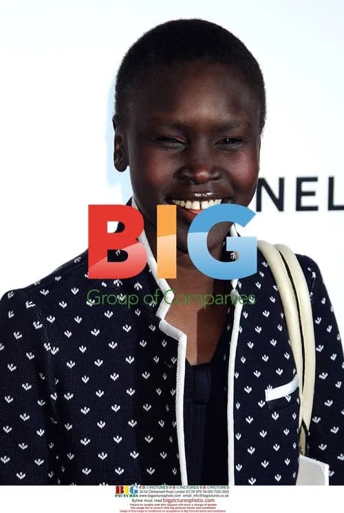 Chanel Tribeca Film Festival Dinner