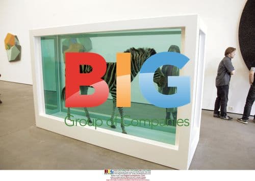 Have You Ever Really Looked at the Sun?