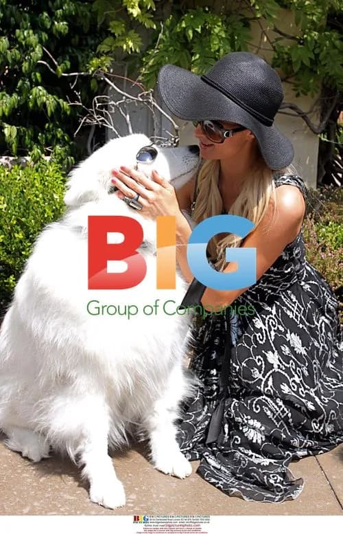 Paris Hilton shops with new boyfriend in Los Angeles