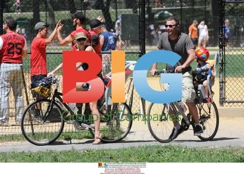 Naomi Watts and Liev Schreiber's Family Outing