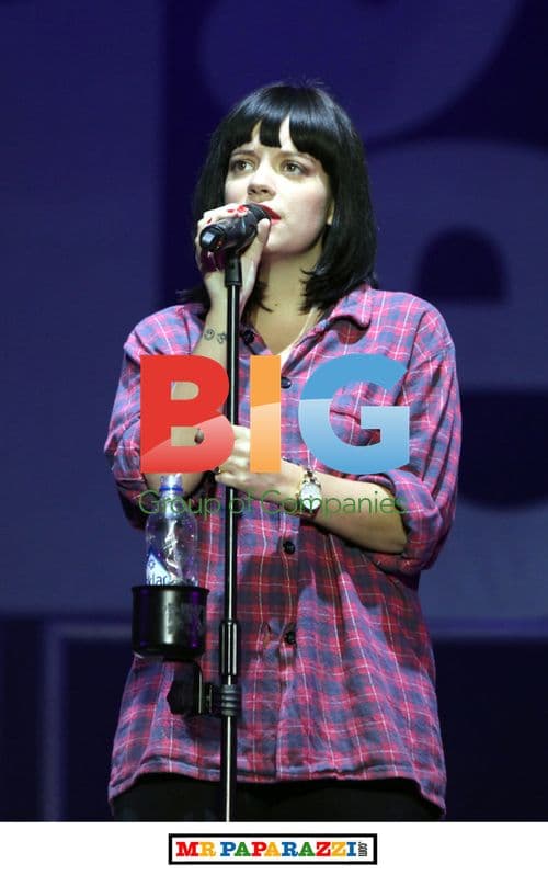 Lily Allen Performs at Big Chill