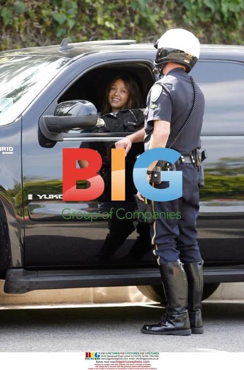 Jessica Alba pulled over by police