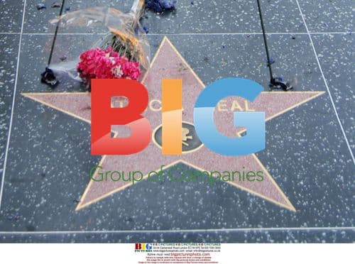 Patricia Neal's Star on Hollywood Walk of Fame