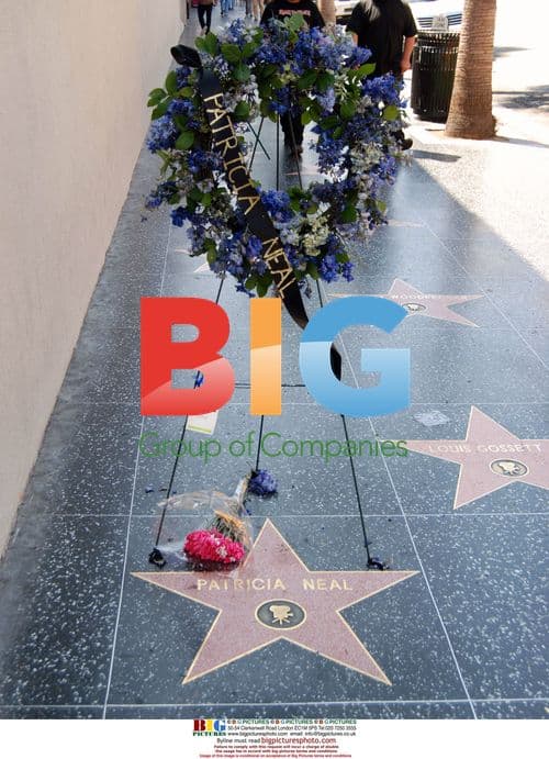 Patricia Neal's Star On Walk Of Fame