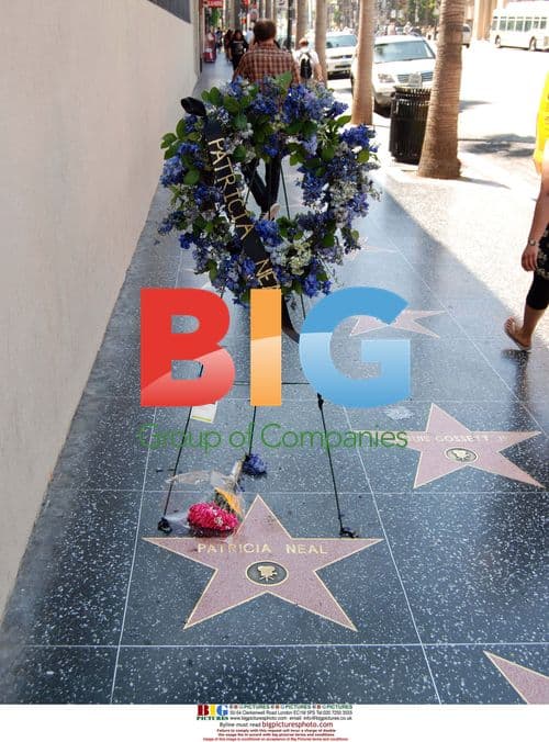Patricia Neal’s Star on Hollywood Walk of Fame