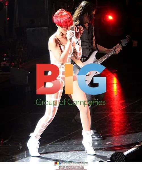 Rihanna Performs at NYC Concert