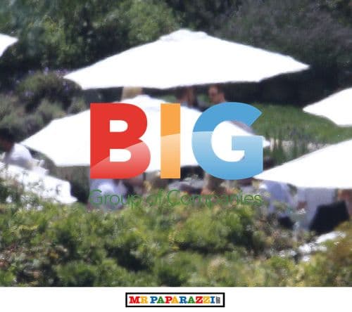 Hilary Duff and Mike Comrie's Wedding Brunch