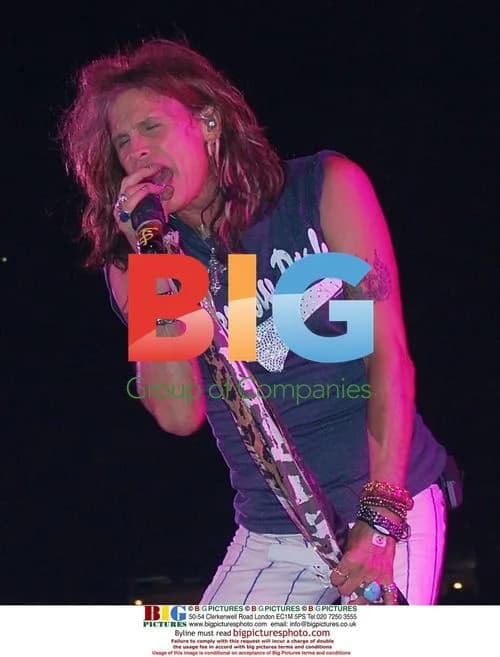 Steven Tyler Performs at Fenway Park
