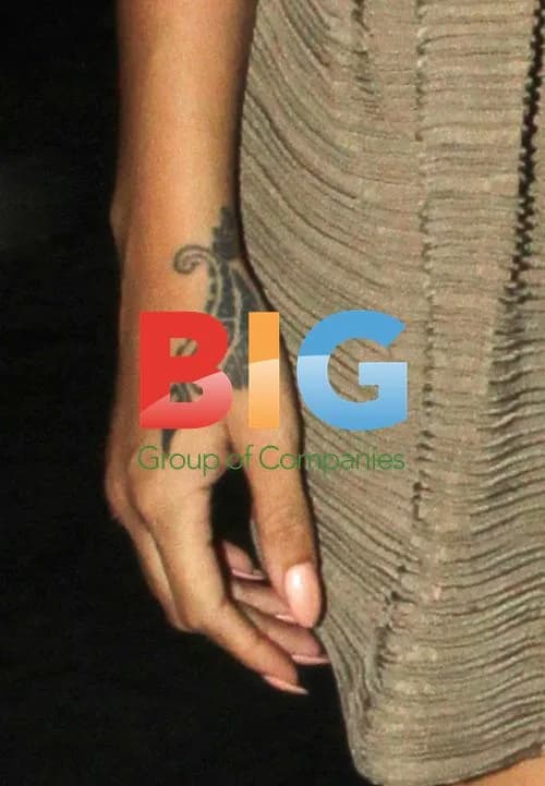 Rihanna Spotted Leaving Dinner with Brother in NYC