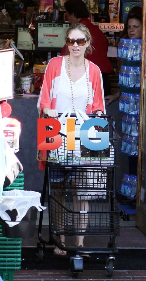 Rebecca Gayheart Grocery Shopping