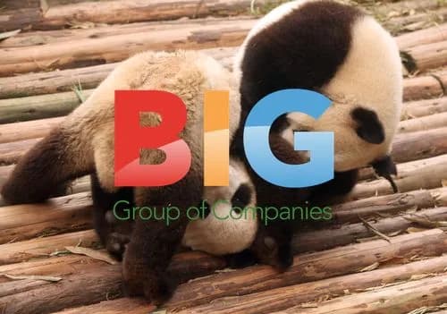 Giant pandas at Chengdu Research Base